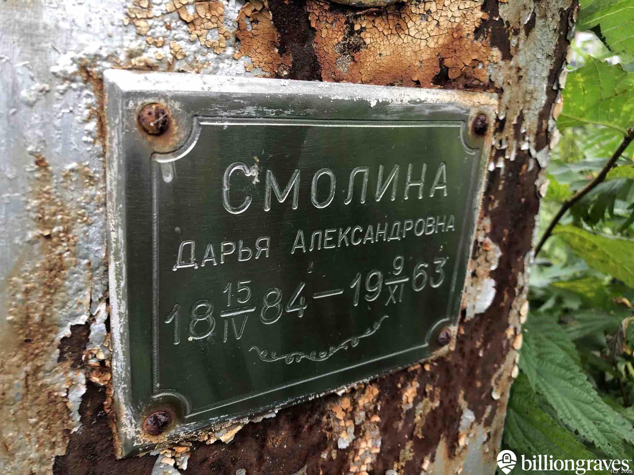 Смолина Дарья Александровна