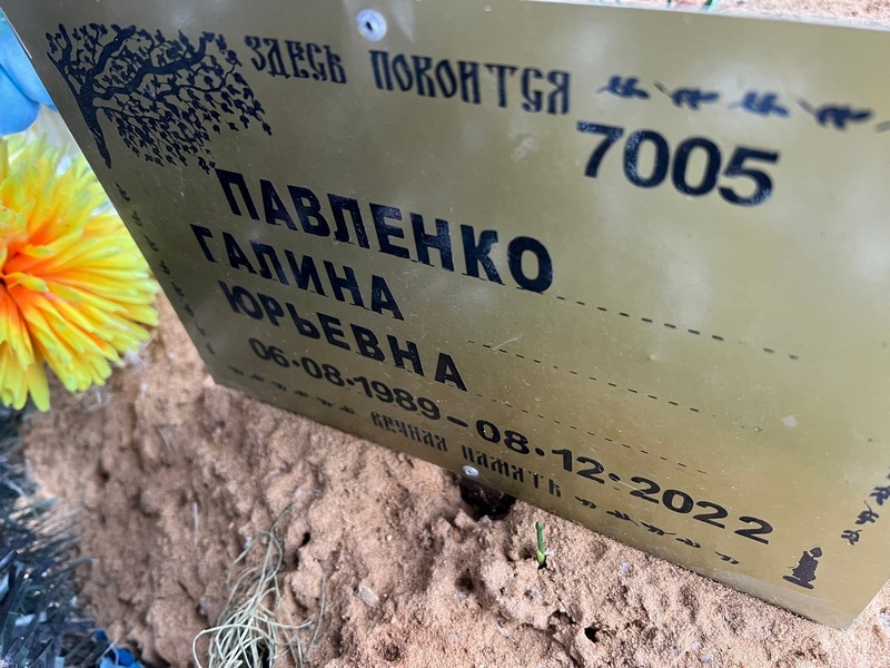 Павленко