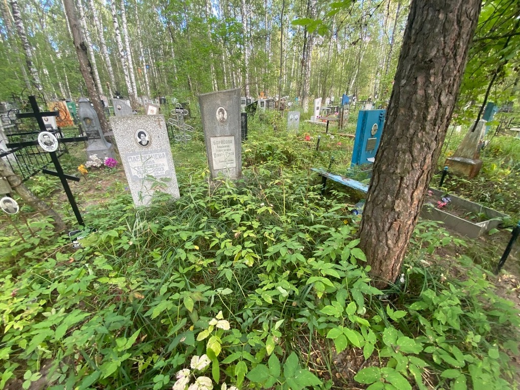 Борисова Людмила Георгиевна
