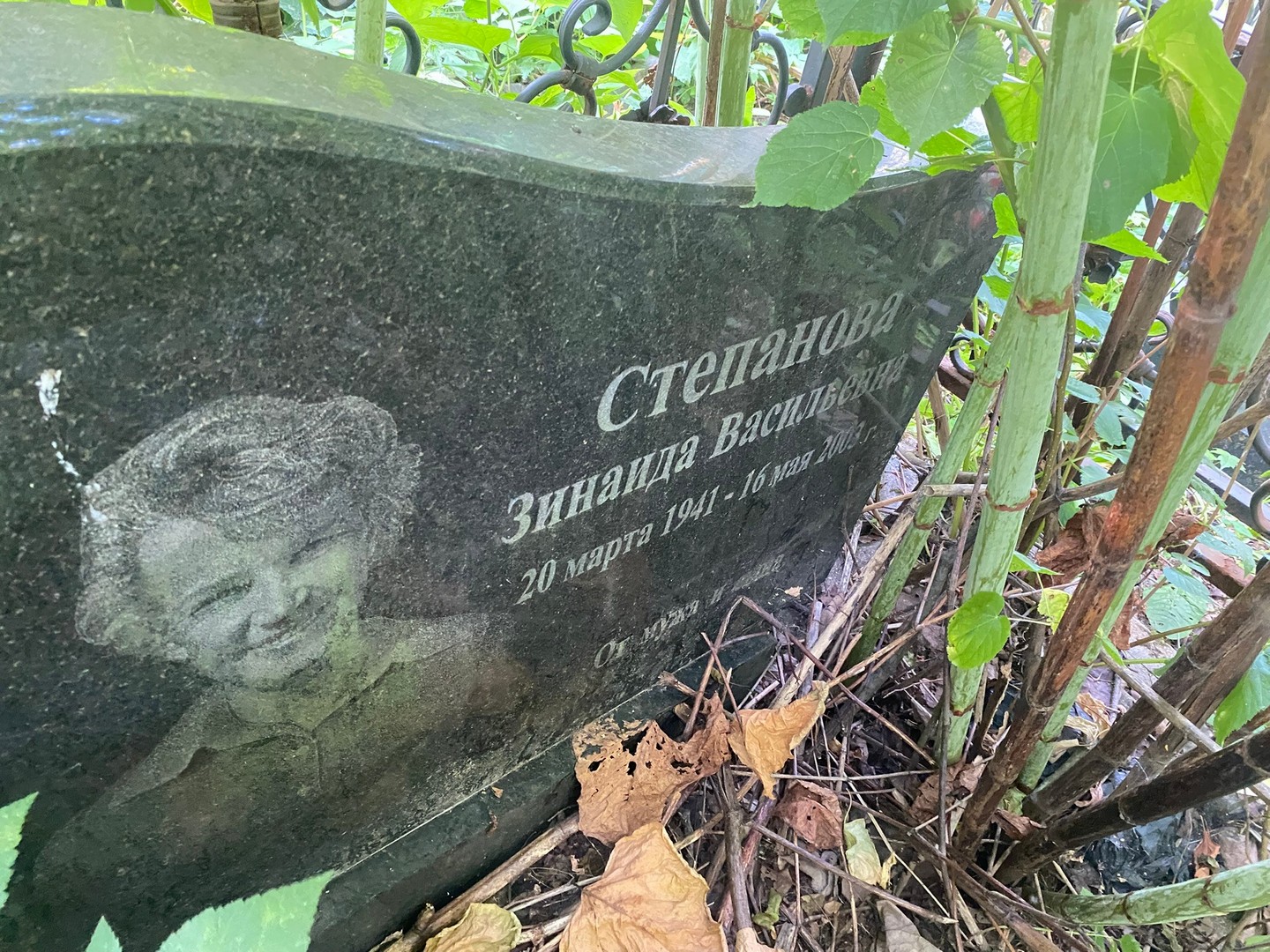 Степанова