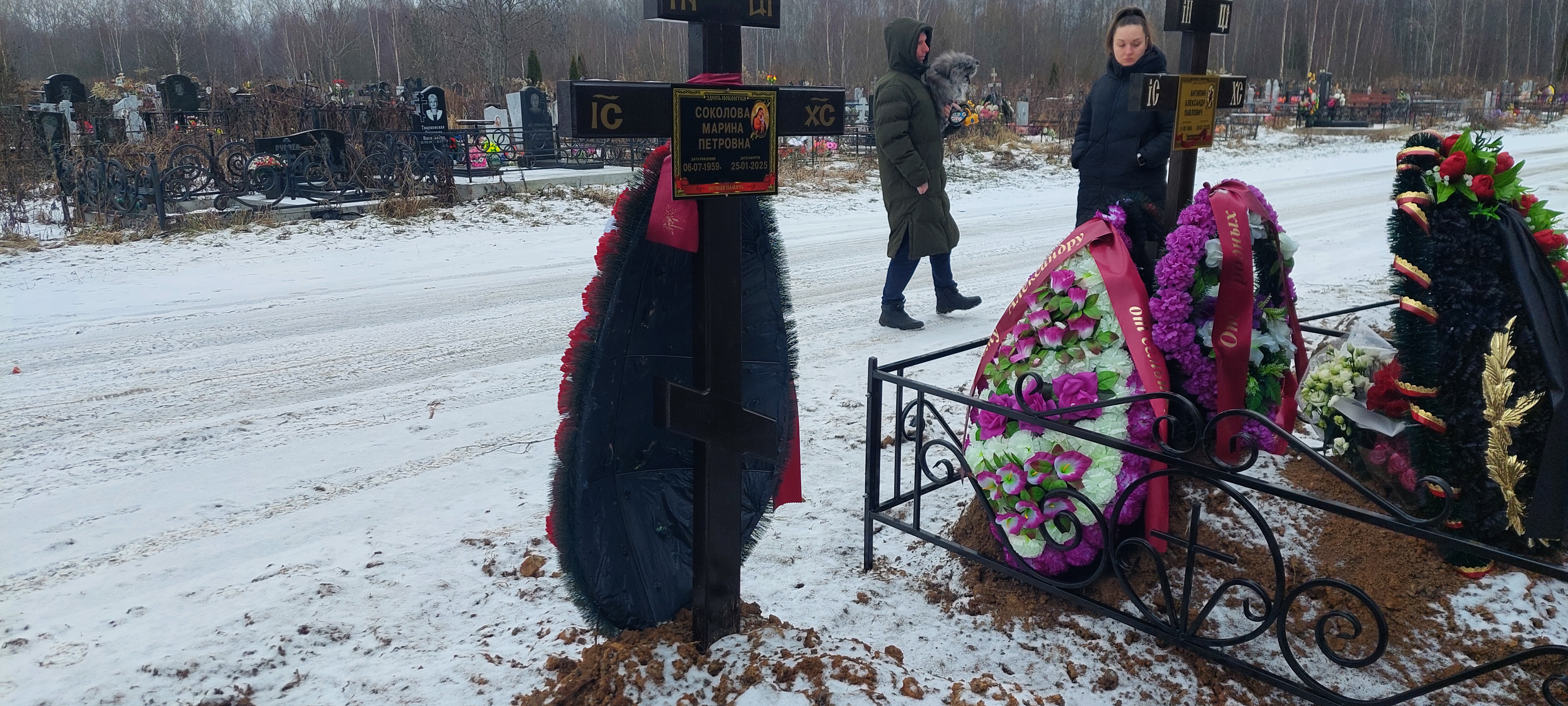 Соколова