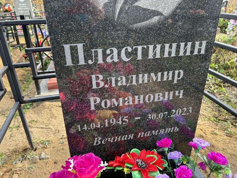 Пластинин