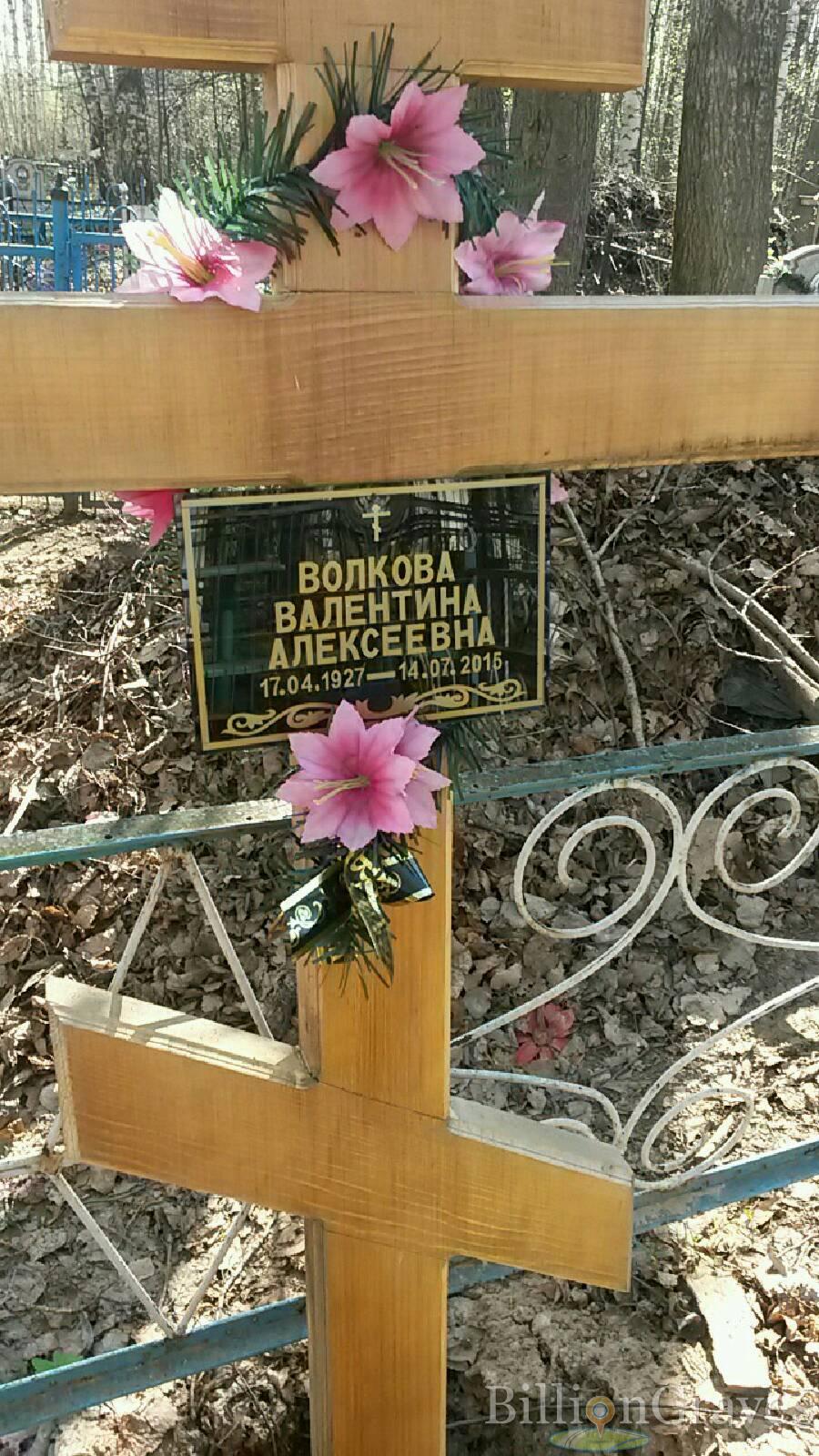волкова валентина алексеевна