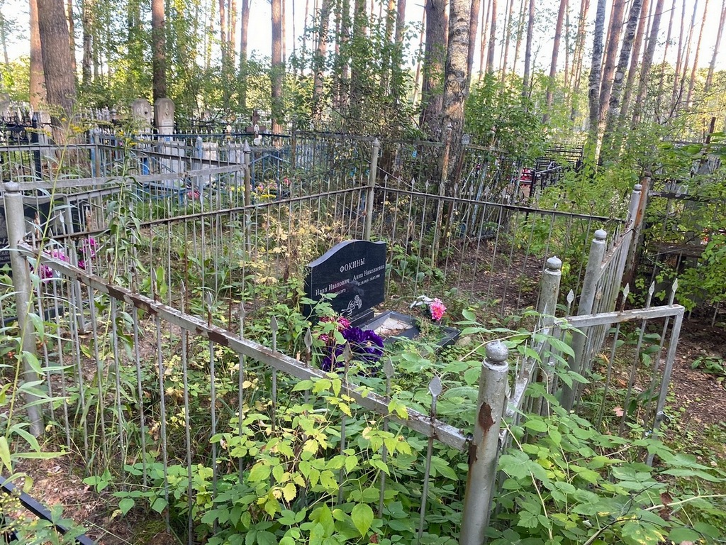 Фокина Анна Николаевна