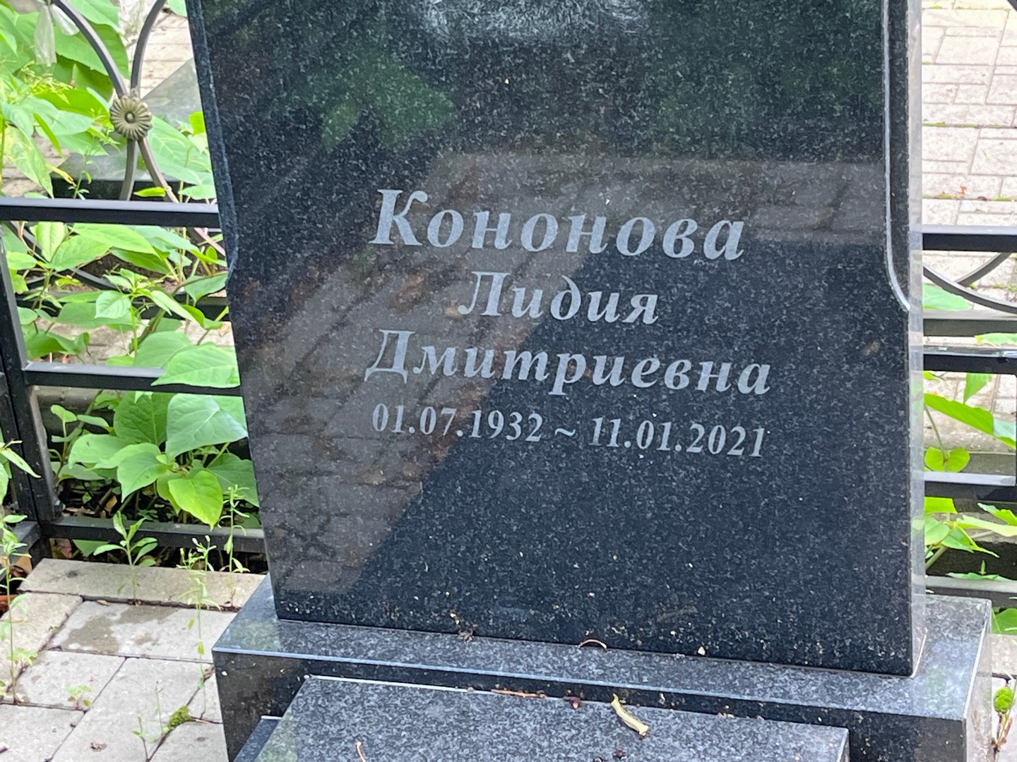 Кононова
