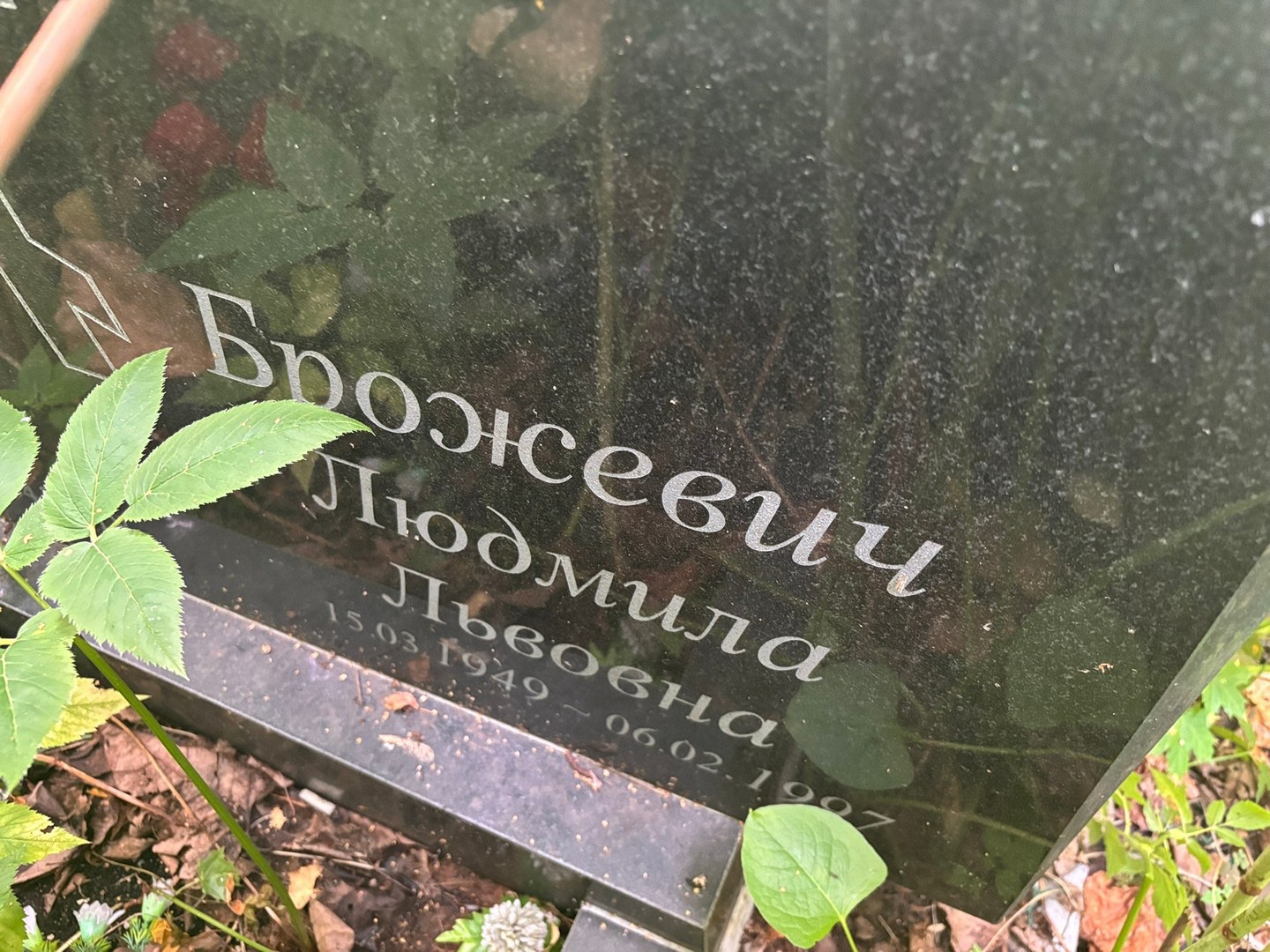 Брожевич
