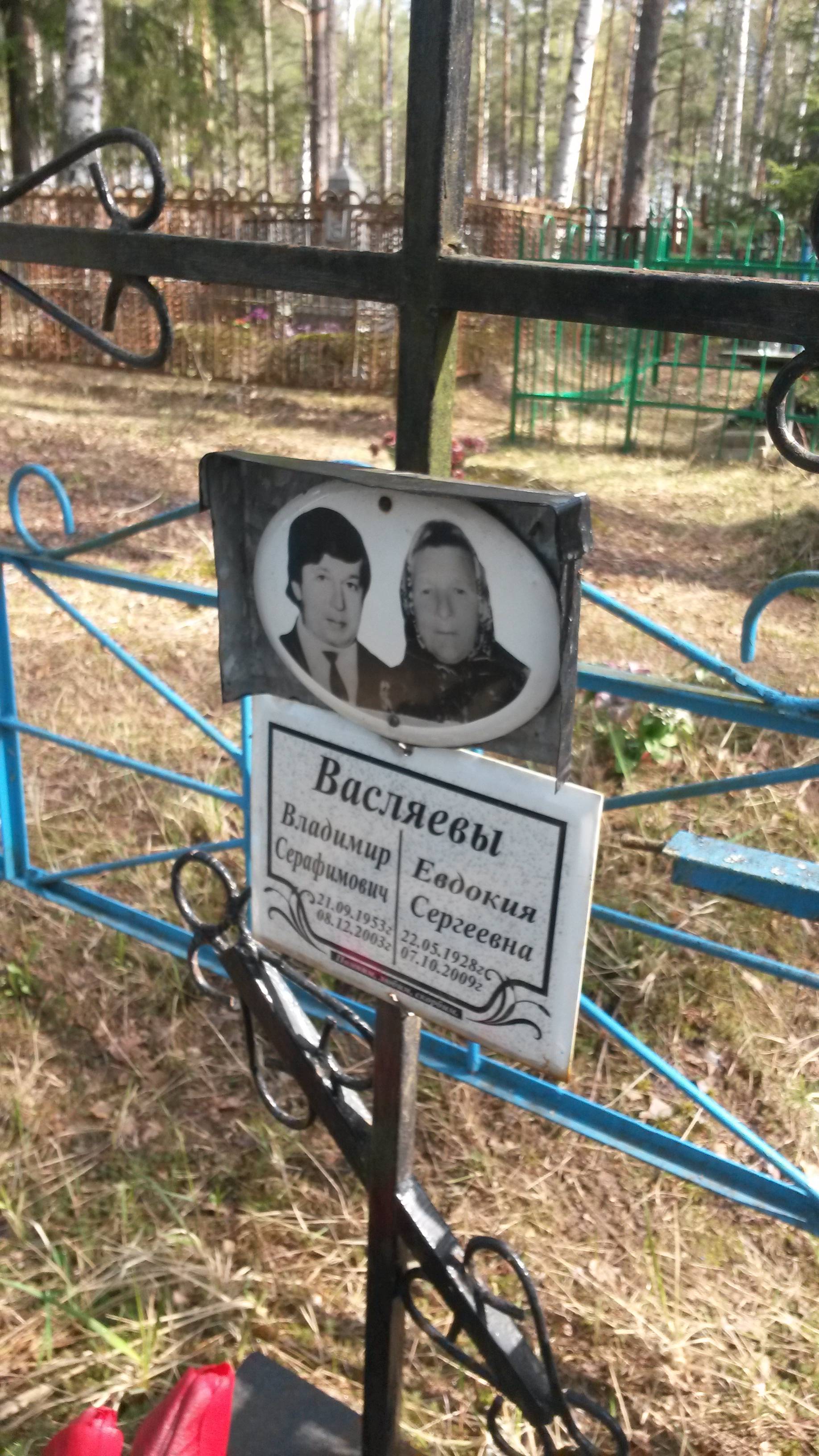 Васляев Владимир Серафимович