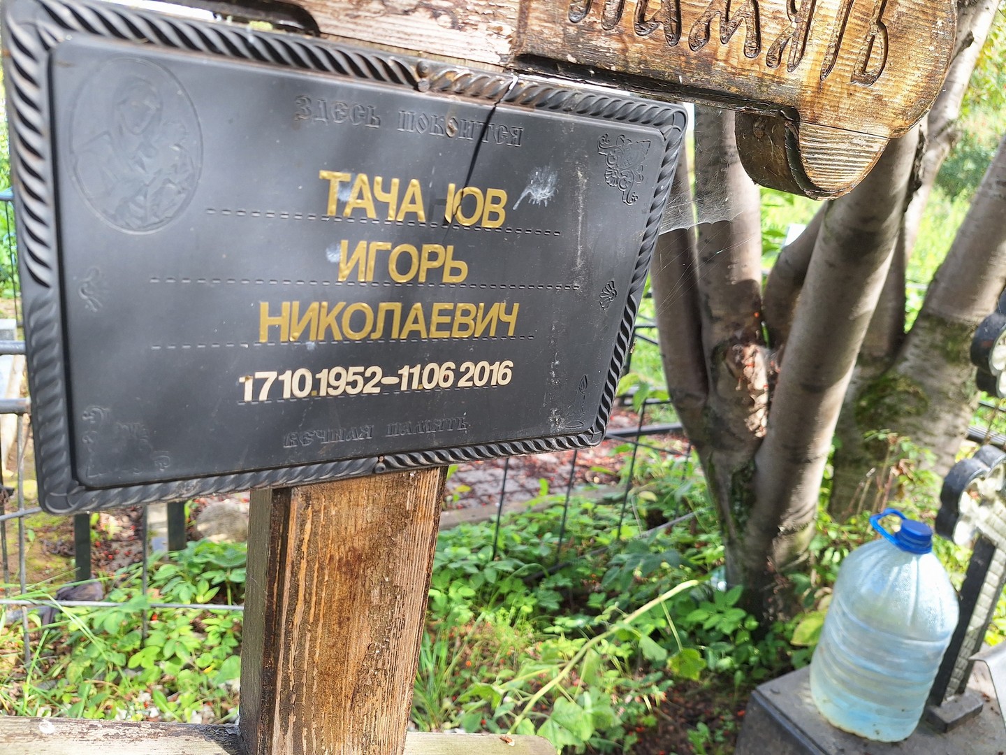 Тачанов