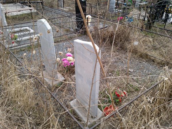 Мамаев Николай Васильевич