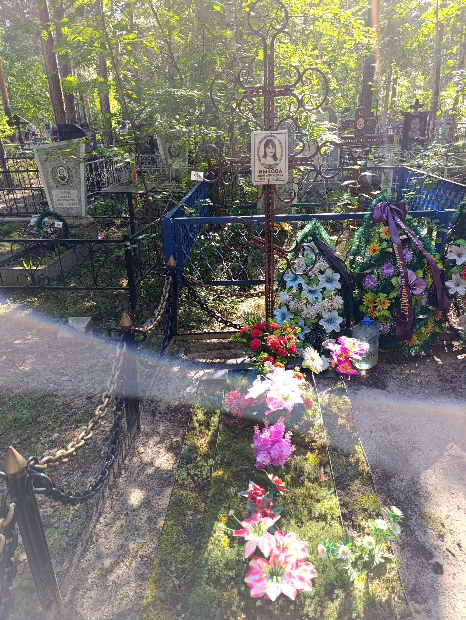 Быкова Евгения Александровна