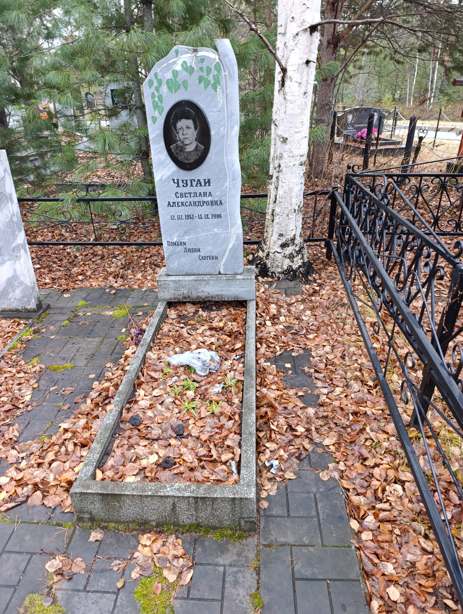 Чугаи Светлана Александровна