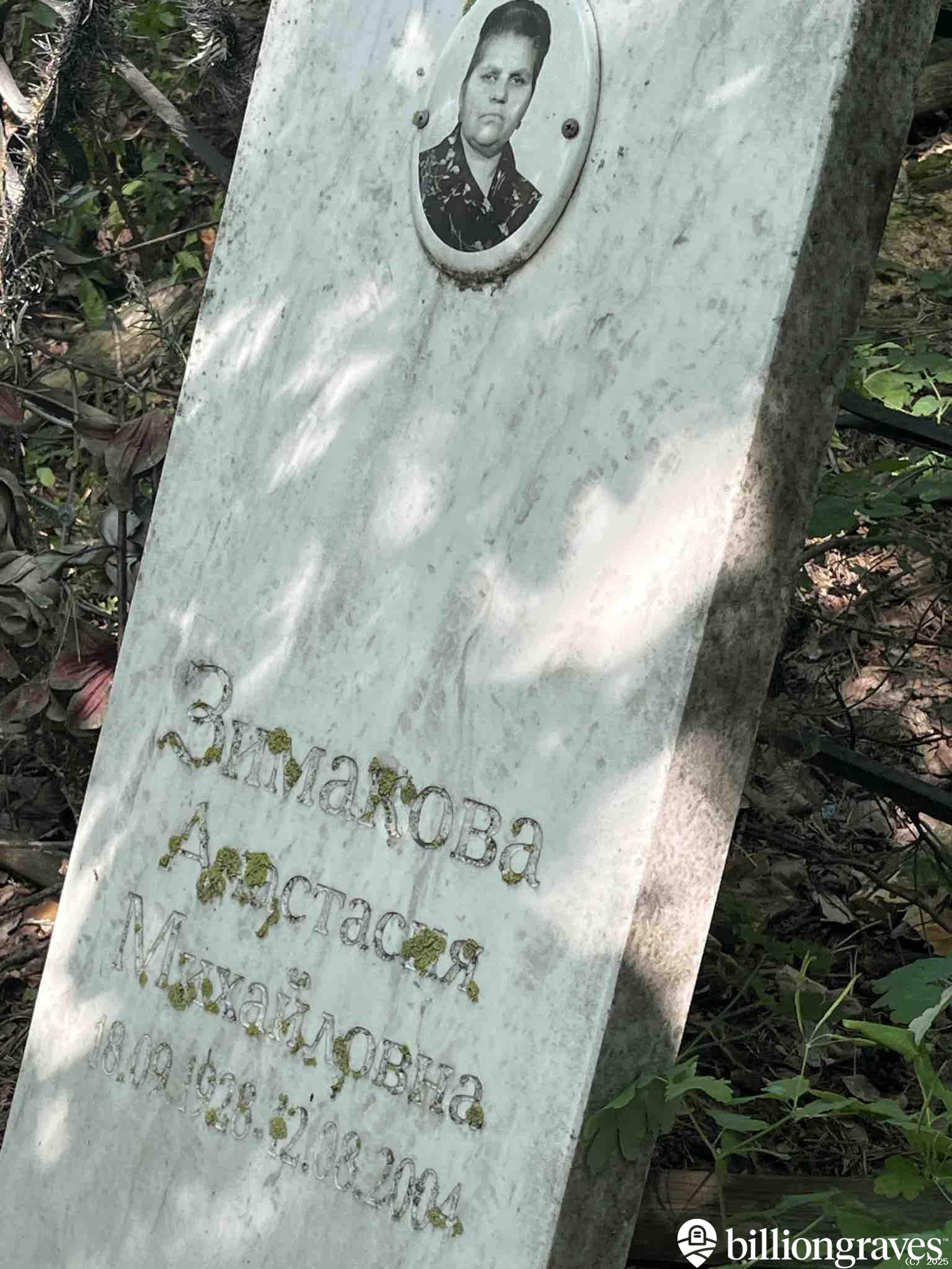 Зимакова Анастасия Михайловна