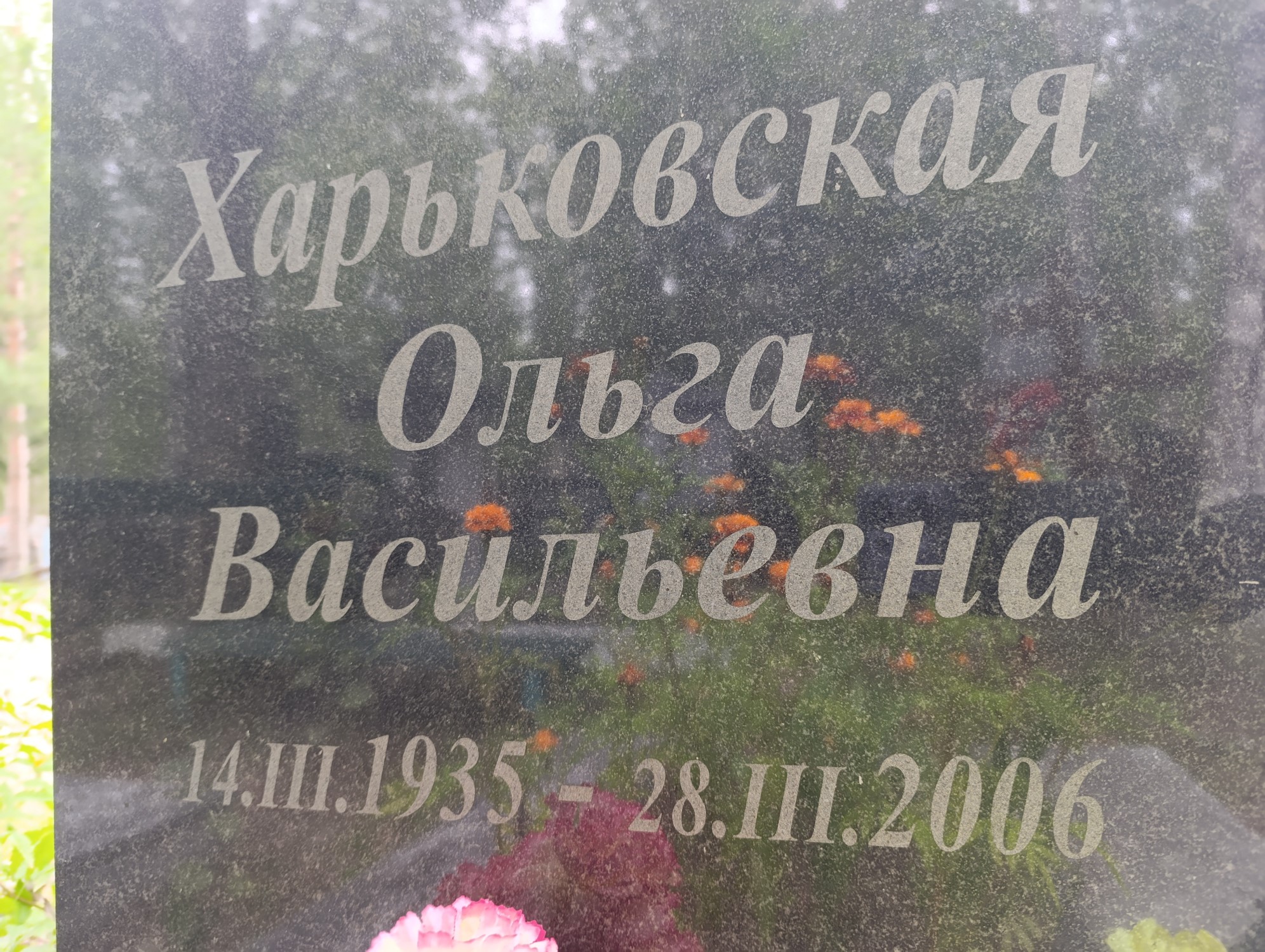 Харьковская Ольга Васильевна