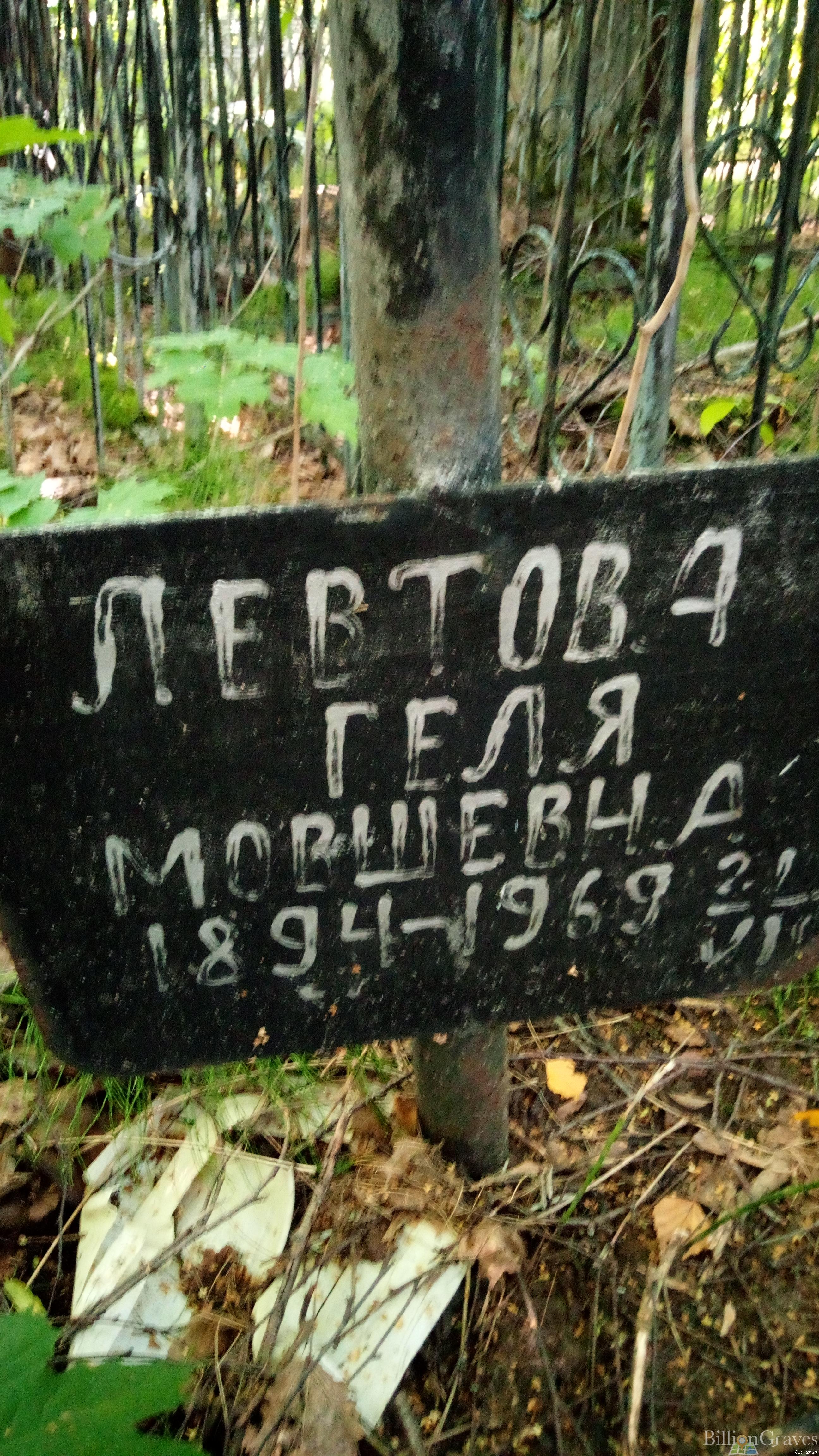 Левтова Геля Мовшевна