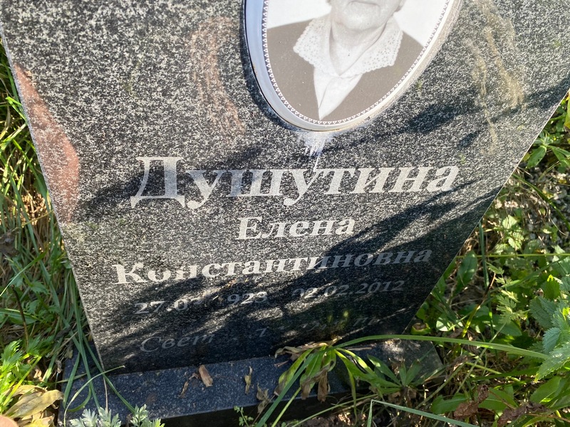 Душутина