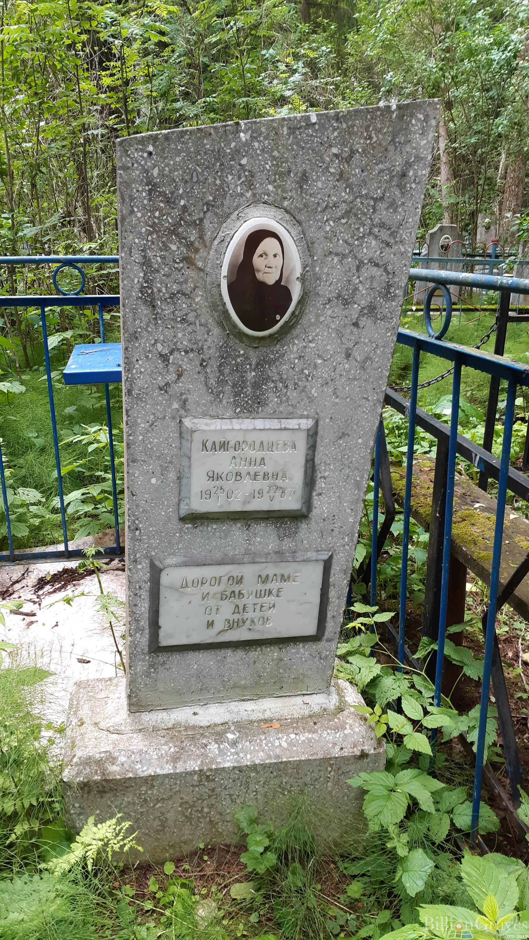 Кайгородцева Анна Яковлевна