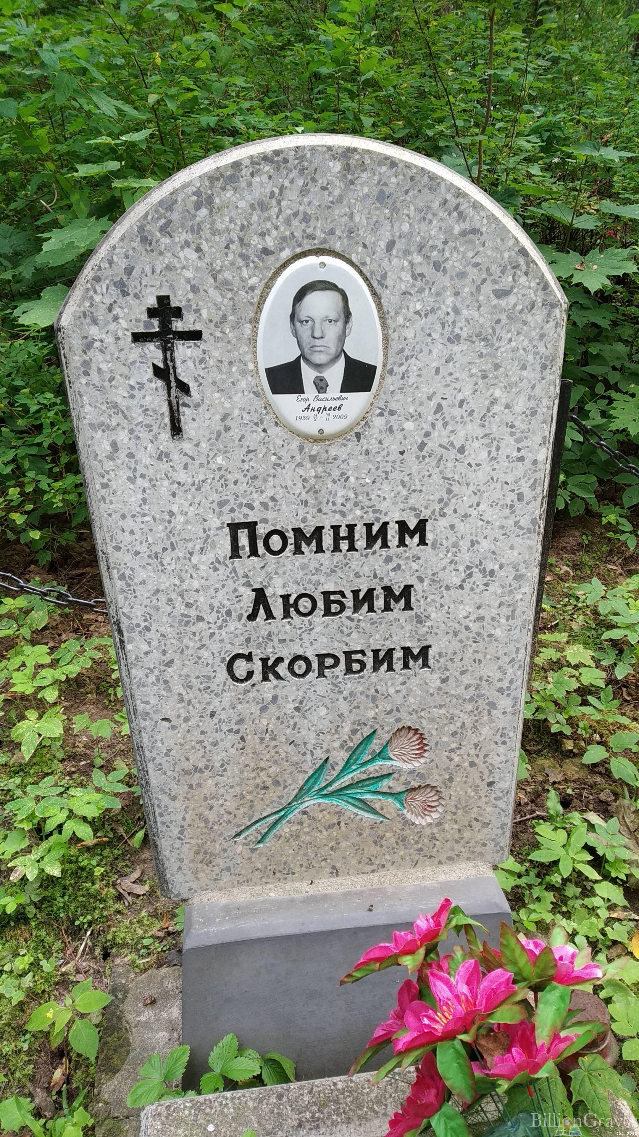Андреев Егор Васильевич