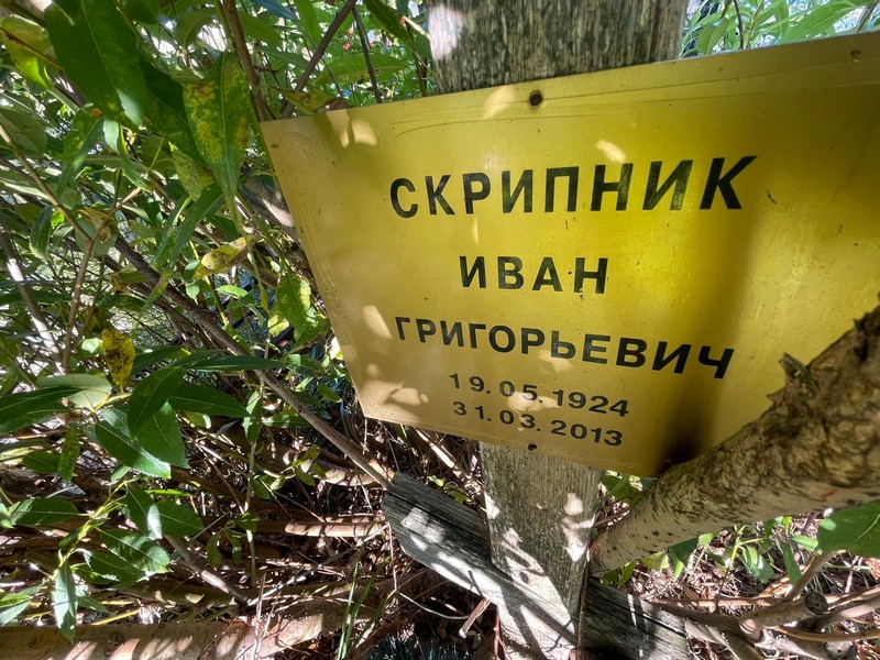 Скрипник