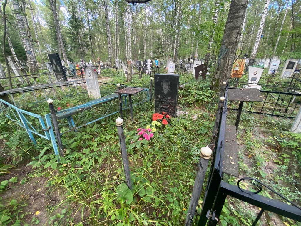 Володина Елена Александровна
