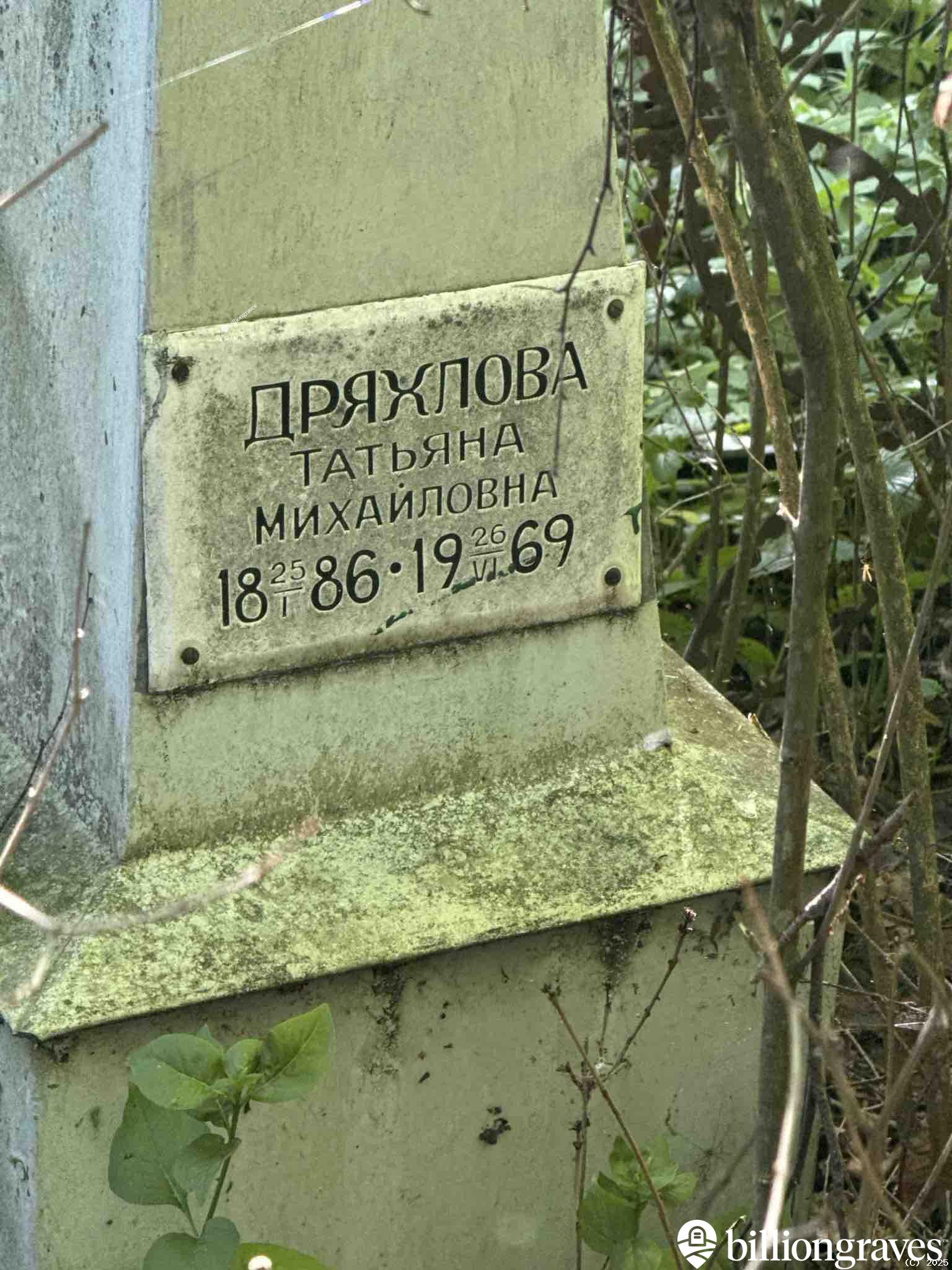 Дряхлова Татьяна Михайловна