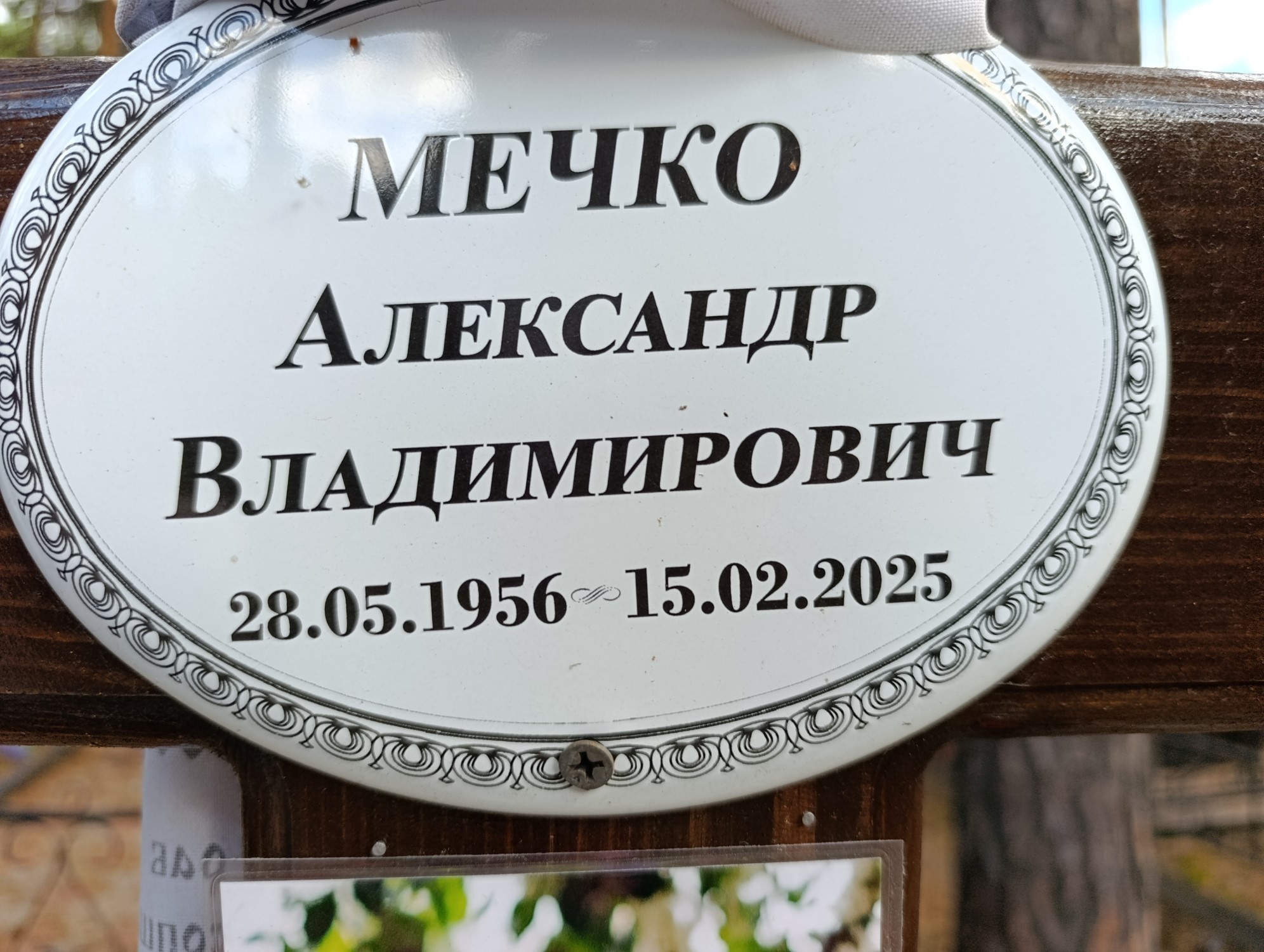 Мечко Александр Владимирович