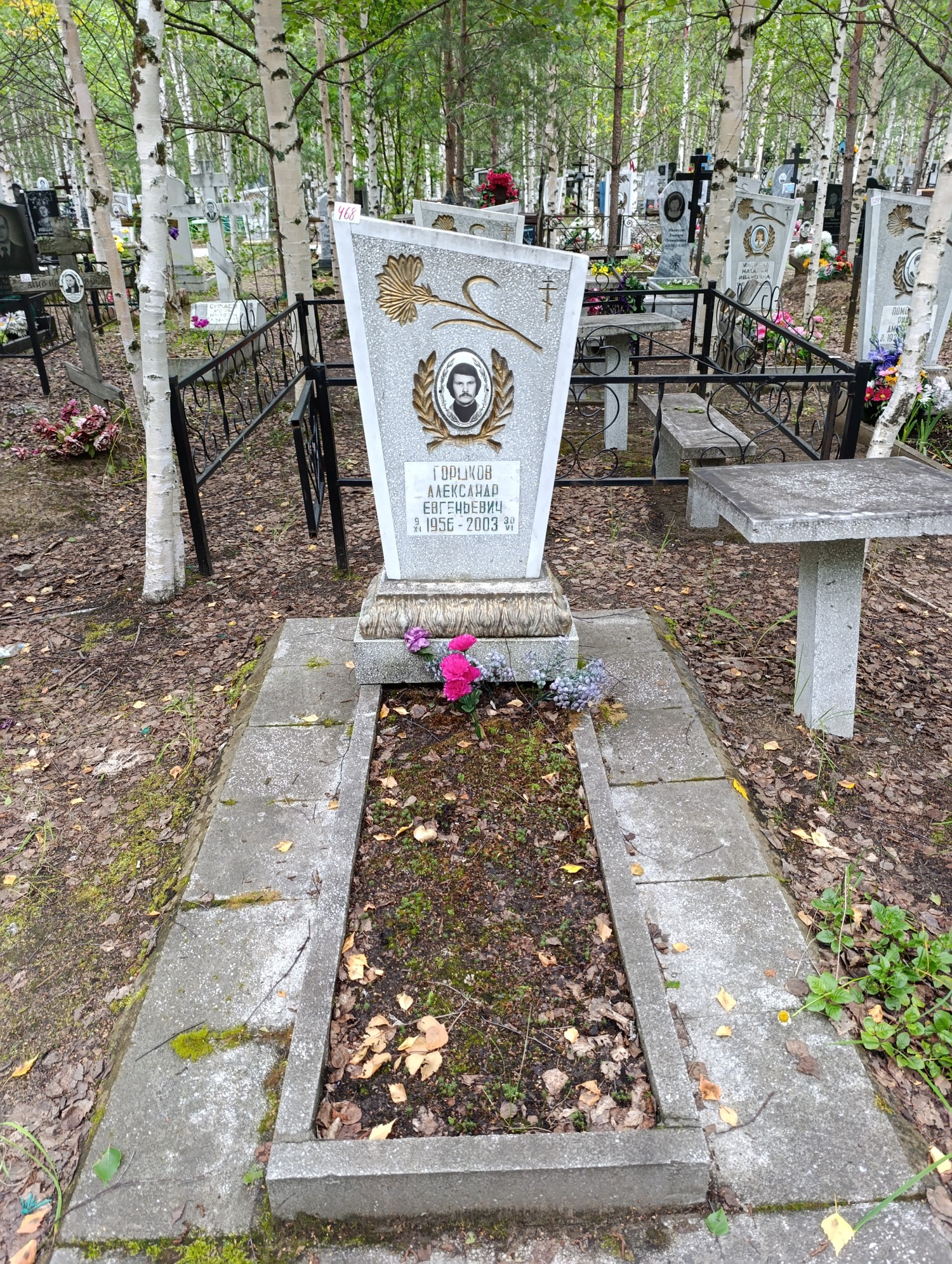 Горшков Александр Евгеньевич