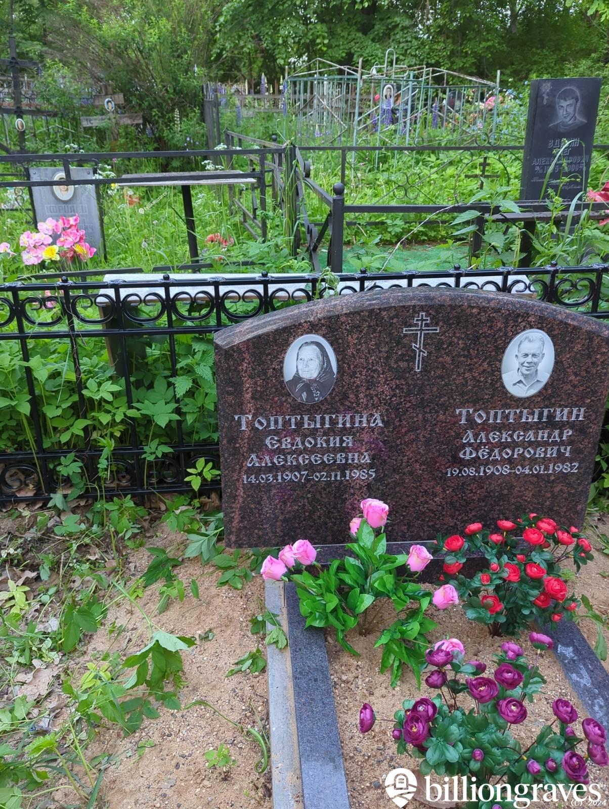 Топтыгина Евдокия Алексеевна