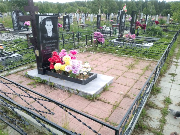 Плотников Дмитрий Иванович