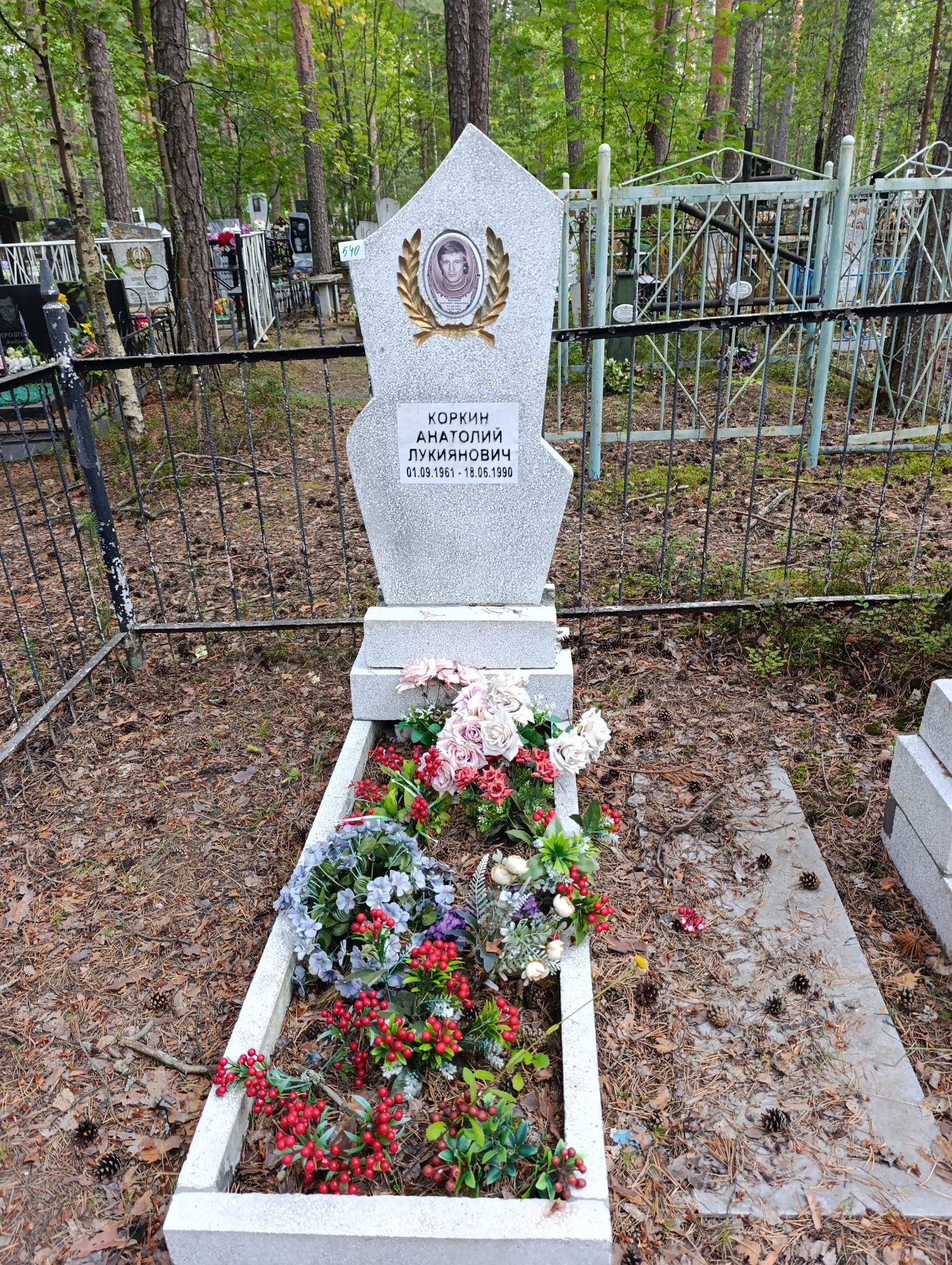 Коркин Анатолий Лукиянович