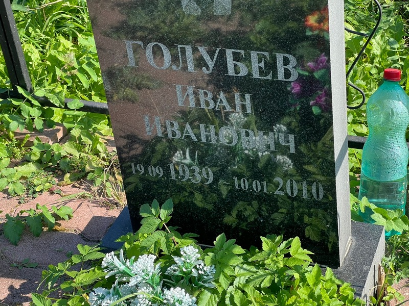 Голубев