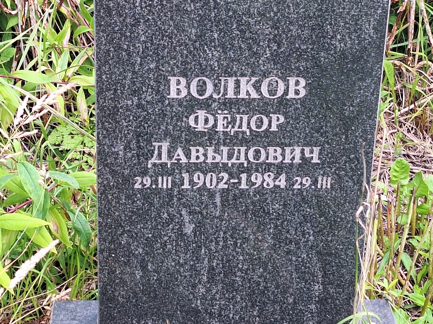 Волков