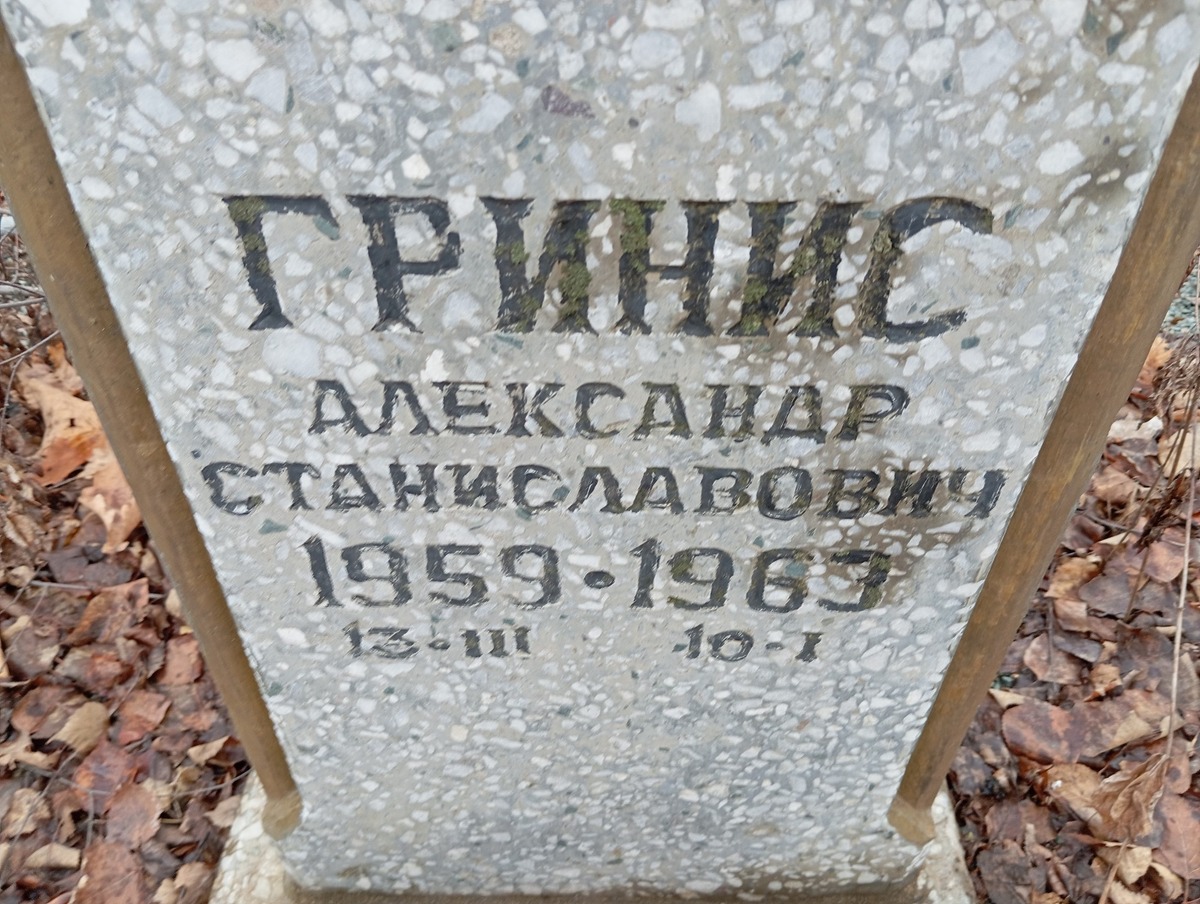 Гринис Александр Станиславович