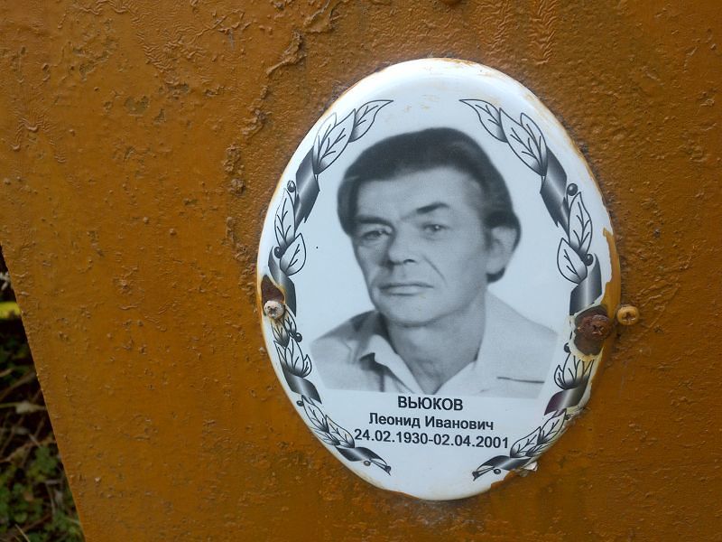 Вьюков