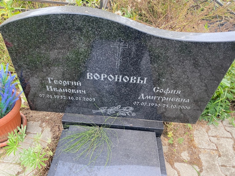 Воронов