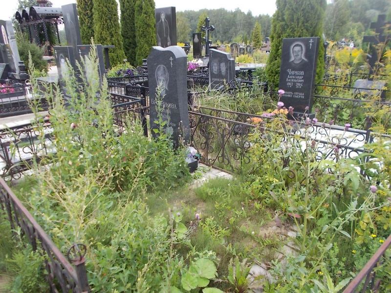 Бронникова Светлана Юрьевна