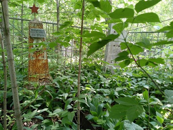 Непомнящая Нина Петровна