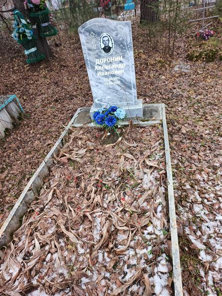 Доронин Александр Иванович