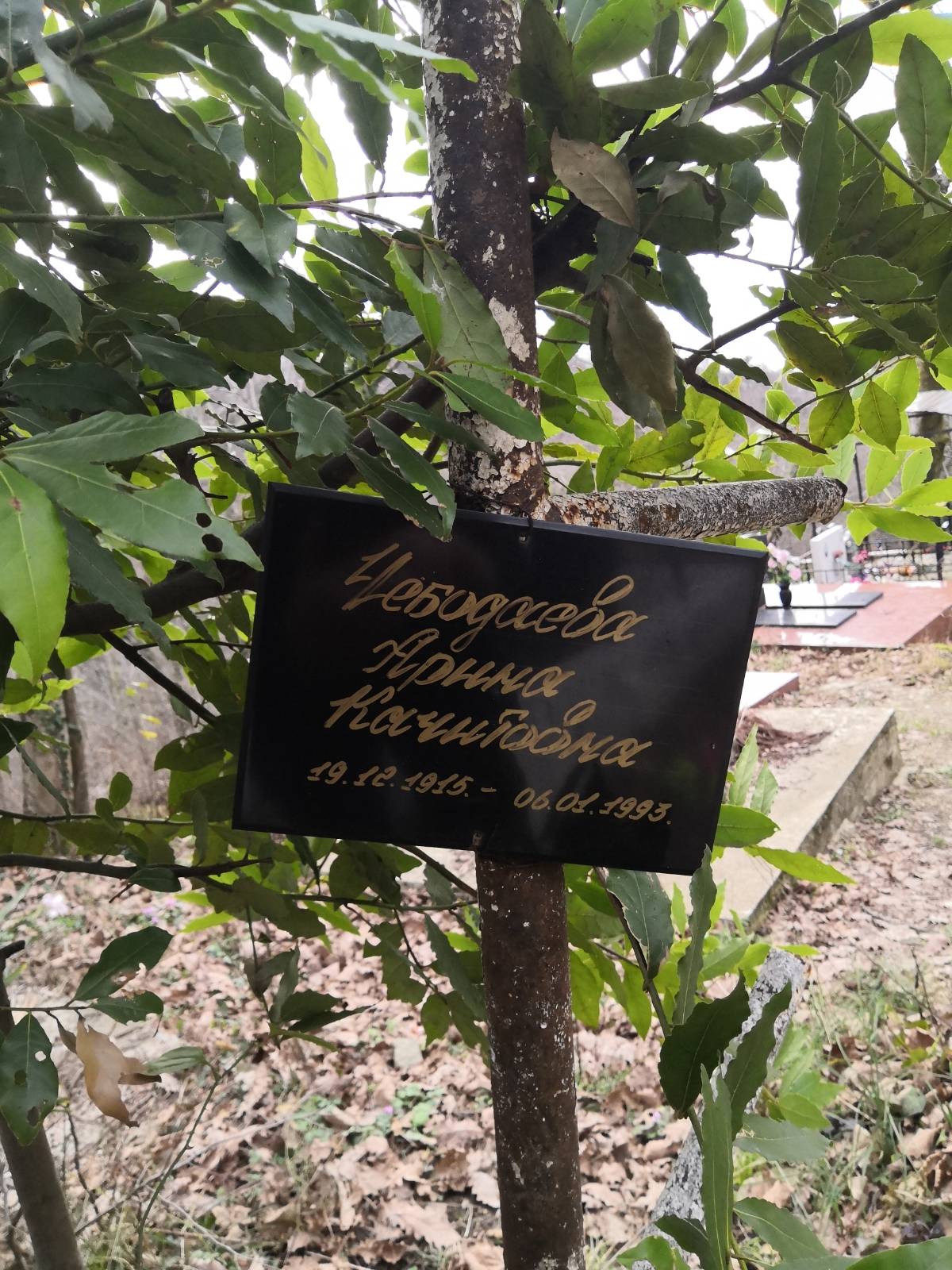 Чебодаева Арина Качитовна