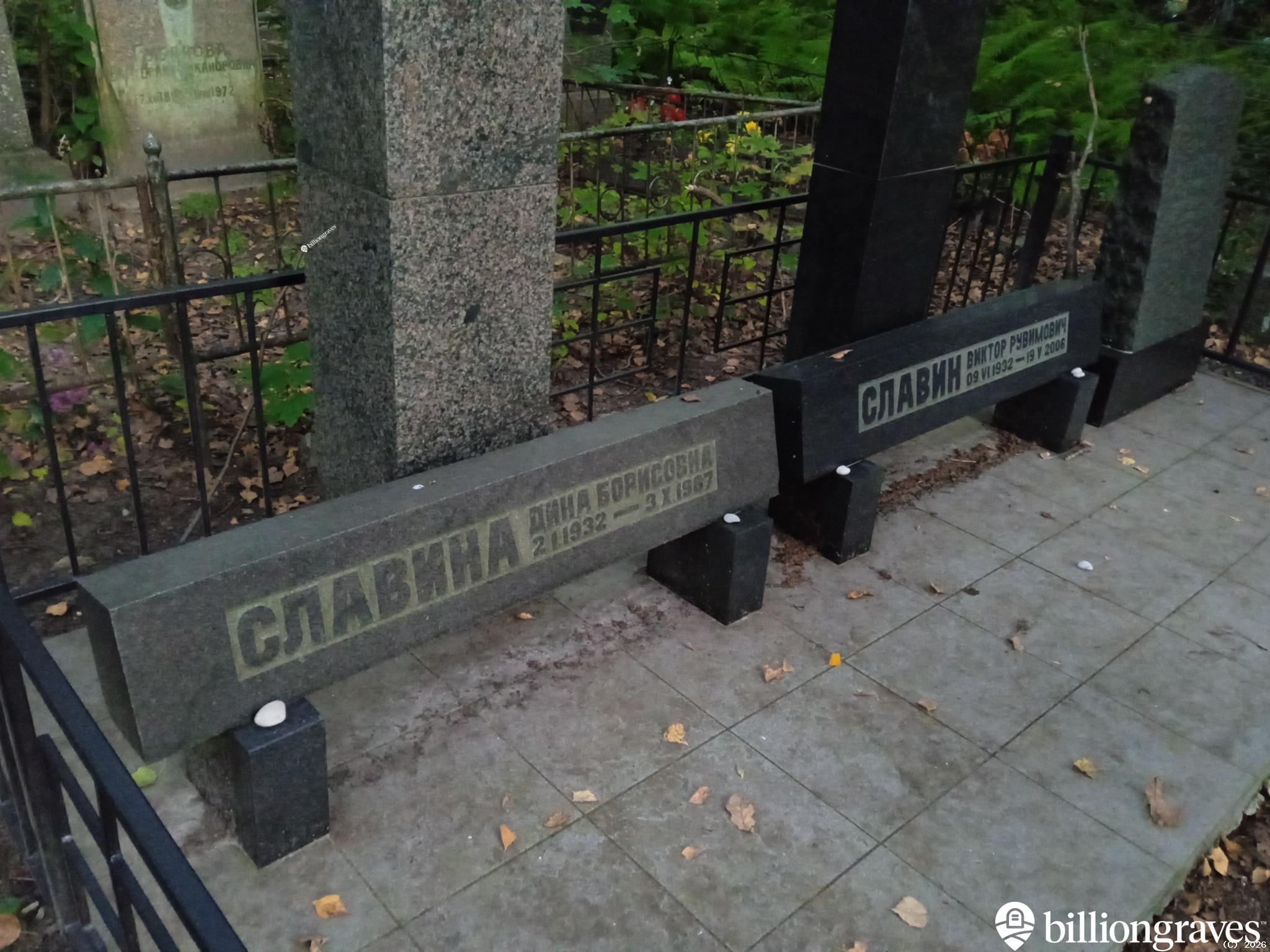 Славина Дина Борисовна