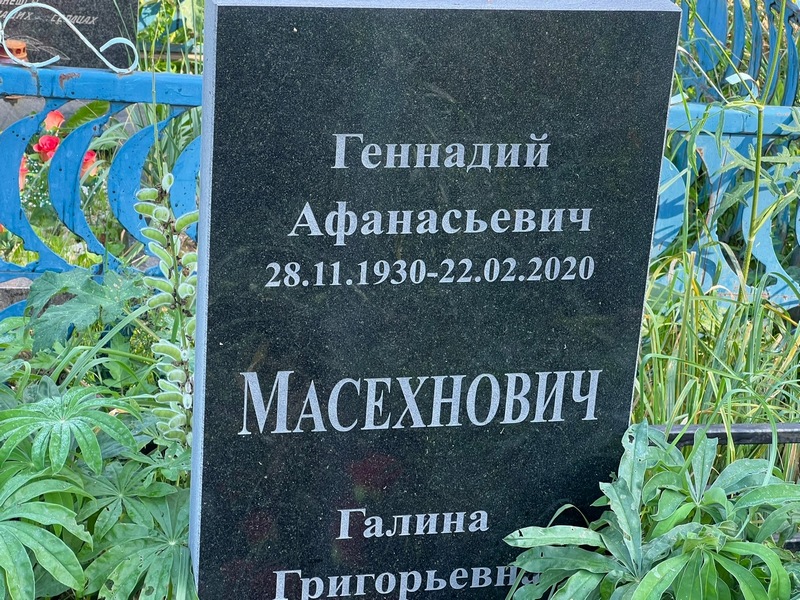 Масехнович
