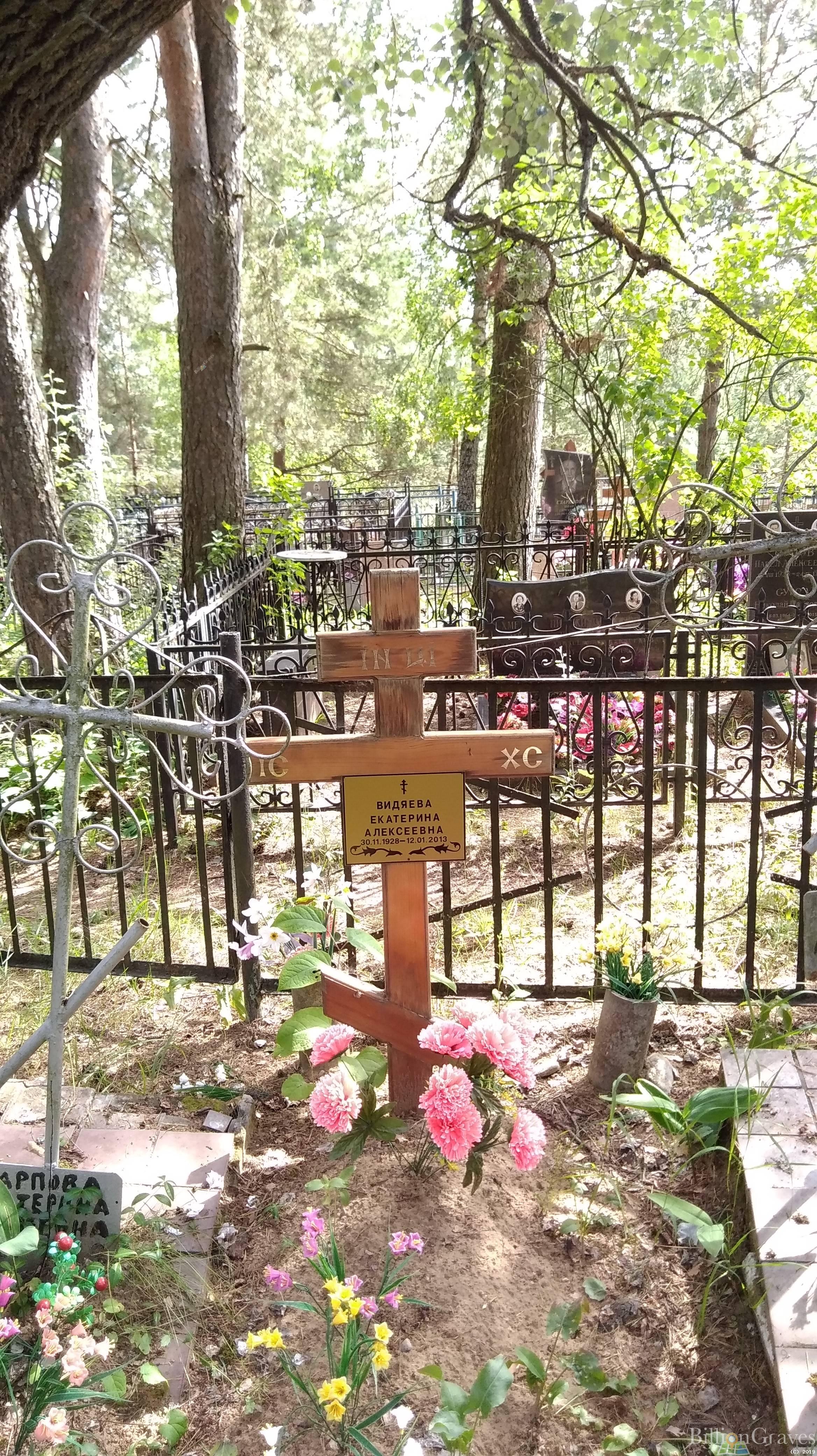 Видяева Екатерина Алексеевна