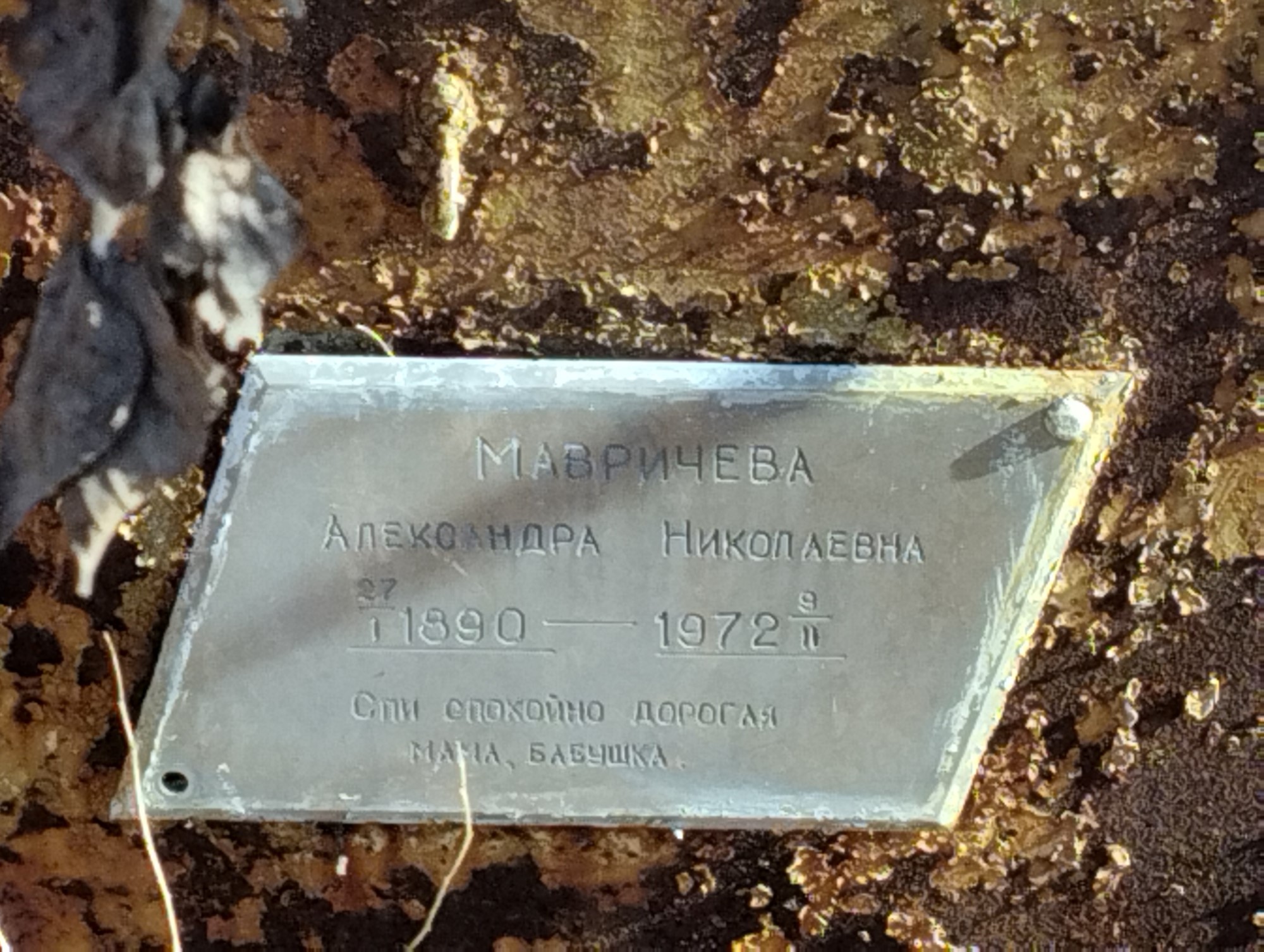 Мавричева Александра Николаевна