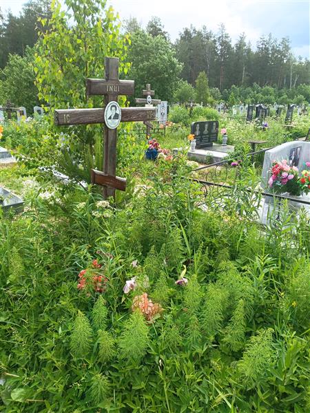 Мухачева Раиса Владимировна