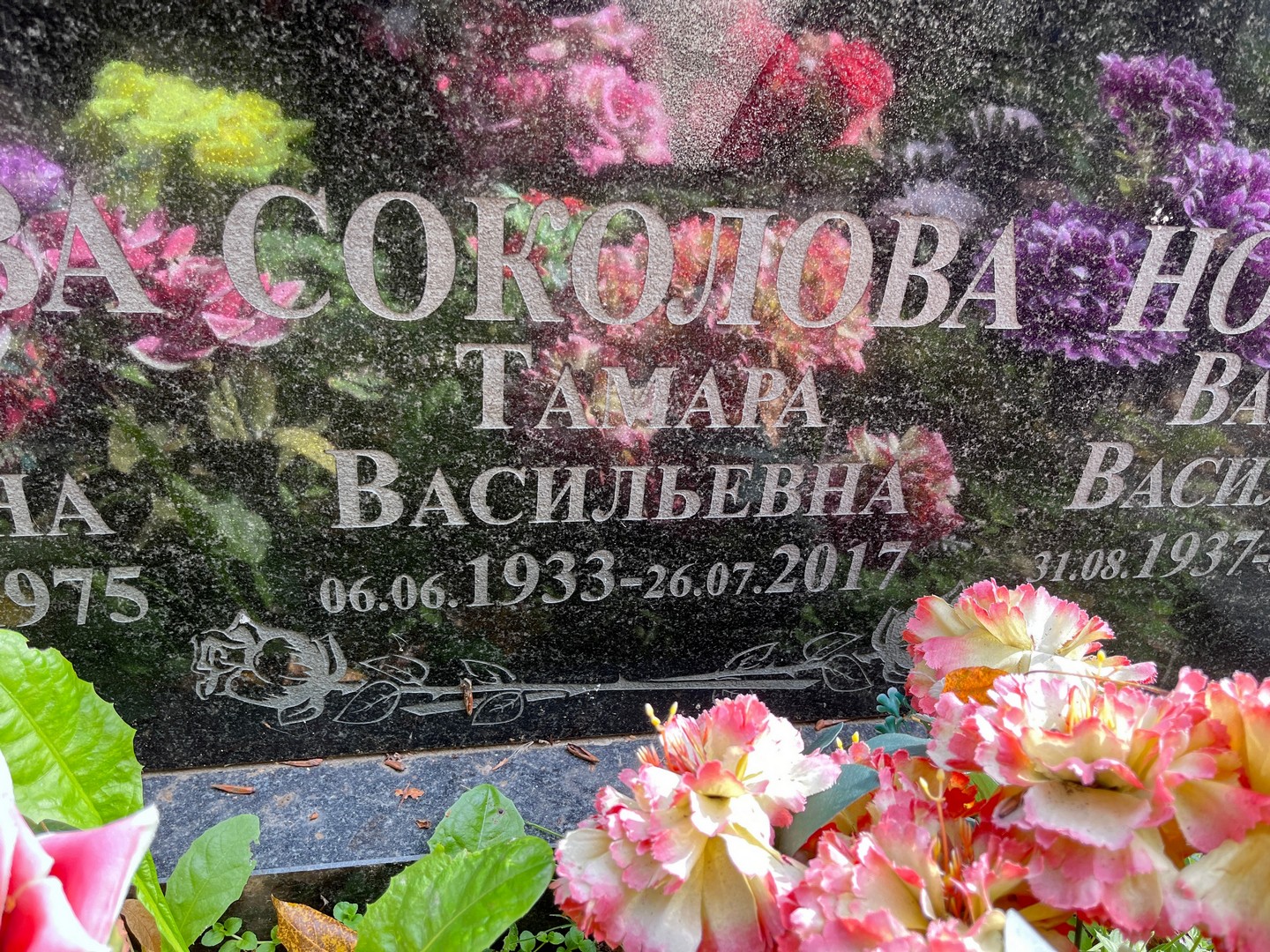 Соколова