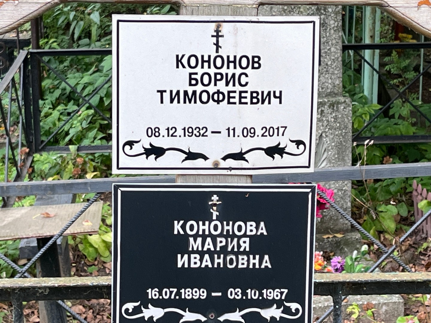 Кононов
