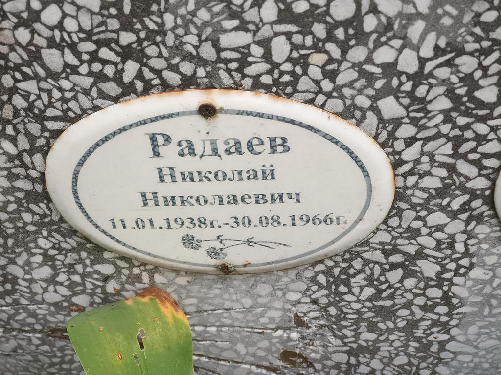 Радаев Николай Николаевич