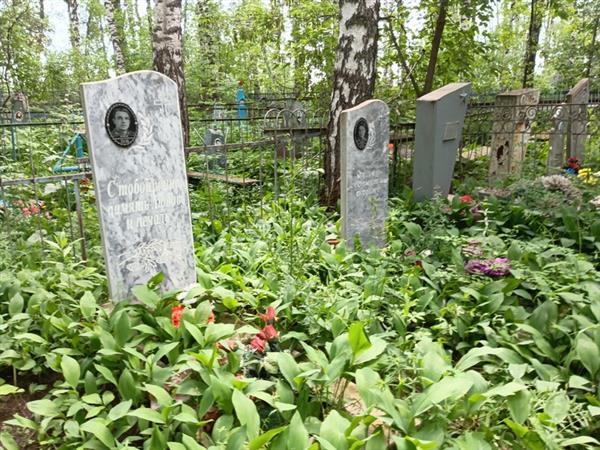 Бубнов Владимир Степанович