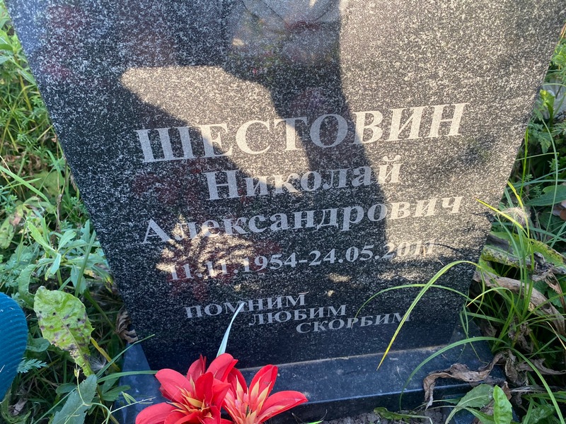 Шестовин