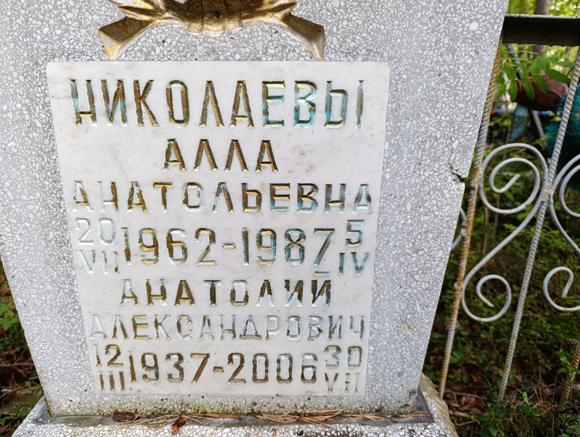 Николаева Алла Анатольевна