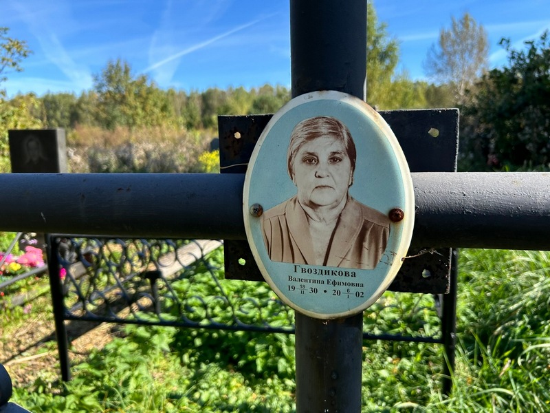 Гвоздикова